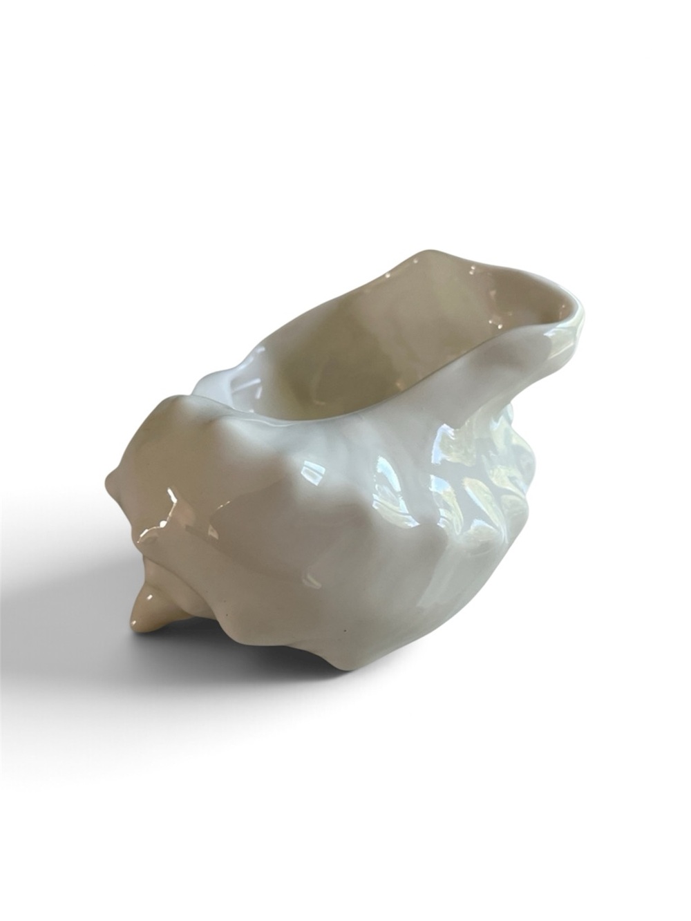 Wedgwood Nautilus Collection Bone China Conch Shell White Made in England.